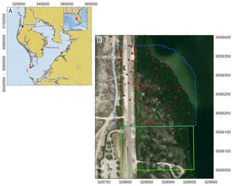 UAV-Based Wetland Monitoring: Multispectral and Lidar Fusion with ...