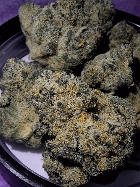 LA Baker (LA KushCake x JungleCake) GarciaHandPicked 30% 1.8 total ...