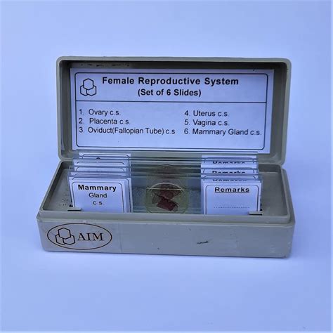AIM Female Reproductive System Prepared Slides (set of 6) : Amazon.in ...