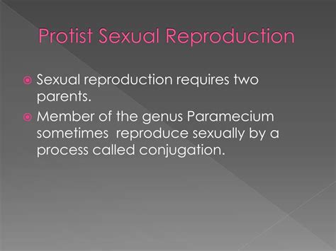 Image result for How Do Protists Reproduce