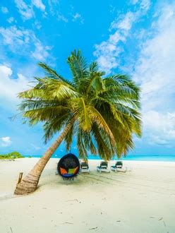 Best Goa Tour Packages In India: Experience the Beach Paradise Like ...