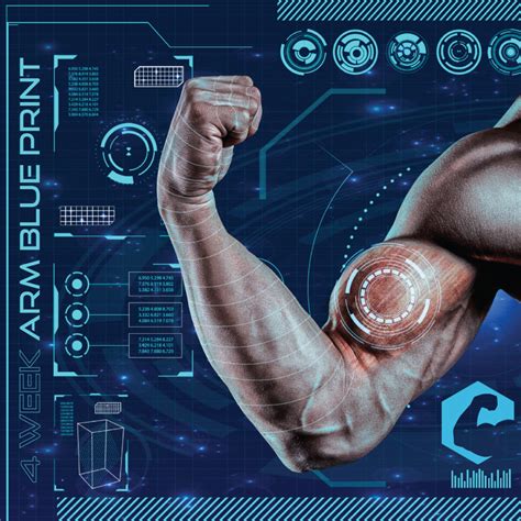 Image result for Computer Link Muscle Growth