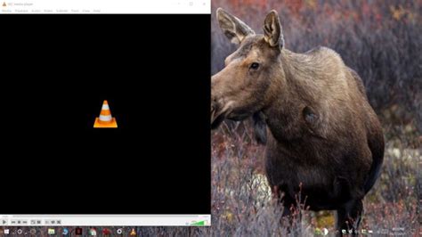 Image result for Off-Screen Windows 10 Apps