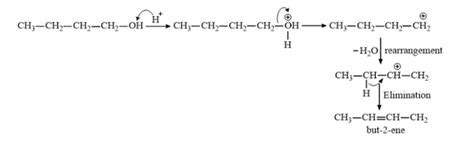 NCERT Solutions for Class 12 Chemistry Chapter 11 Alcohols, Phenols and ...