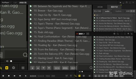 PotPlayer Setup 的图像结果