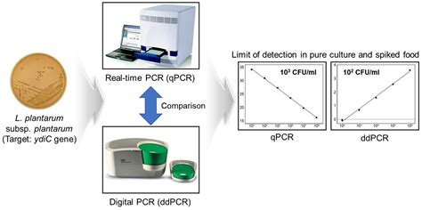 Comparison of Real-Time PCR and Droplet Digital PCR for the ...