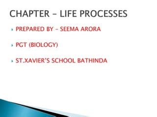 Image result for Class X BioLife Processes