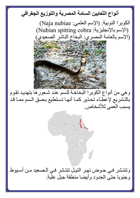 venomous snakes of Egypt.pdf | DocDroid