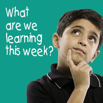 What Are We Learning Image 的图像结果