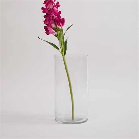 Buy Contour Glass Cylindrical Table Vase from Home Centre at just INR ...