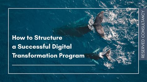 Image result for Digital Transformation Program