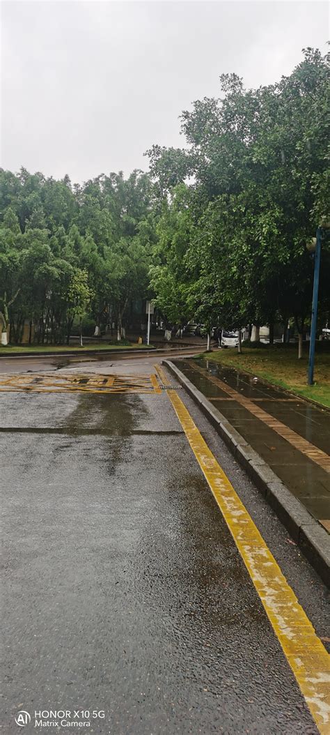 阴雨绵绵 - 随手拍新影像 不止所见 花粉俱乐部