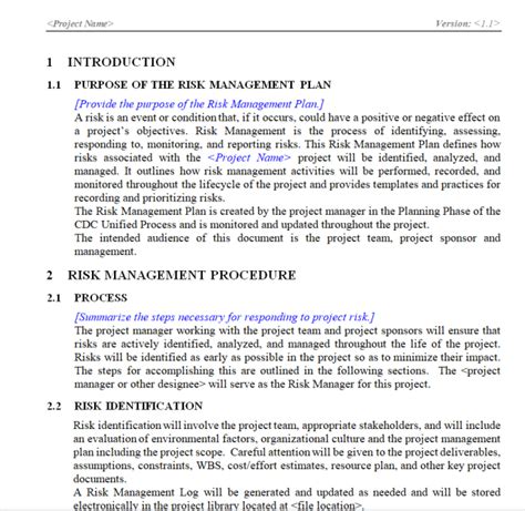 Risk Management Plan Example 的图像结果