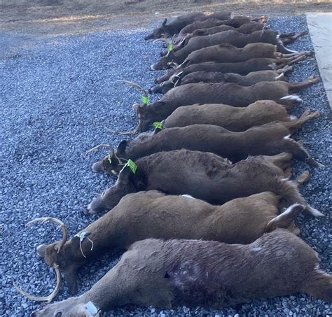 Pennsylvania doe tags | Long Range Hunting Forum - Expert Gear Reviews ...