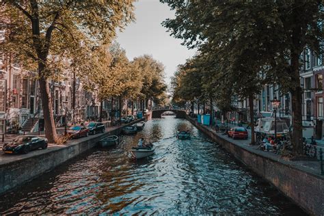 Amsterdam in May - Things To Do, Festivals, Events & Essentials