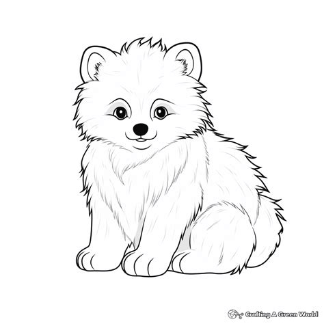 Arctic Fox Coloring Page