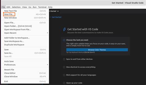 How to Attach a Module in Visual Studio Code Node.js 的图像结果