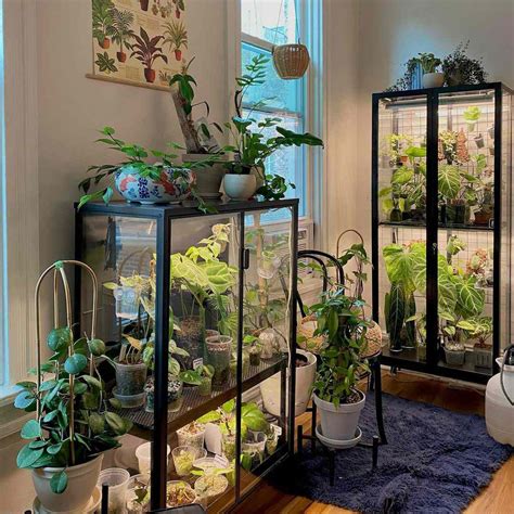 Mini Greenhouse Made From Windows