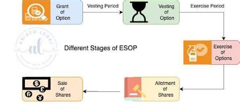 Step-by-Step Process to Set Up an ESOP for Your Startup