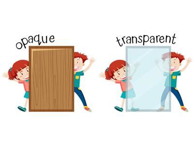 Transparency — lesson. Science CBSE, Class 6.