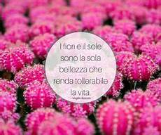 frasi con fiori 27 fantastiche immagini su frasi sui fiori nel 2019 frasi con fiori 27 fantastiche immagini su frasi sui fiori nel 2019