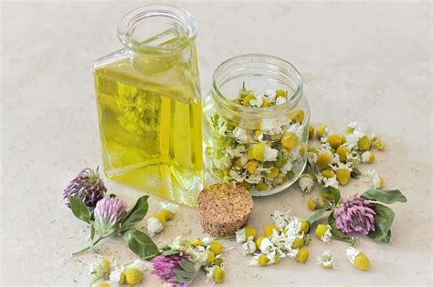 Image result for Essential Mods for Minecraft