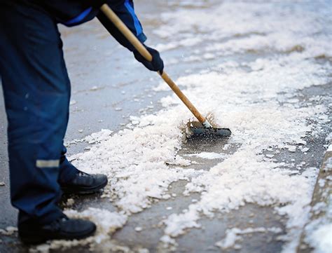 Image result for Ice Scraper Reviews