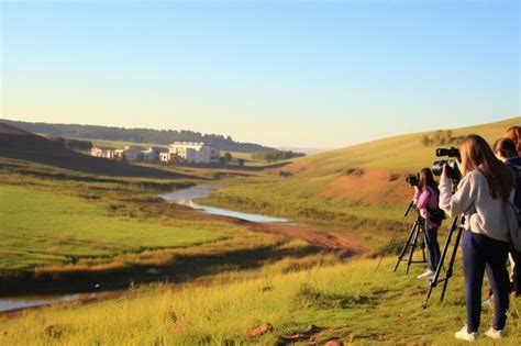 Sorting Activity Environment 的图像结果