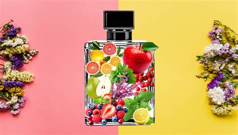 Understanding Perfume Notes: Top, Heart & Base Explained