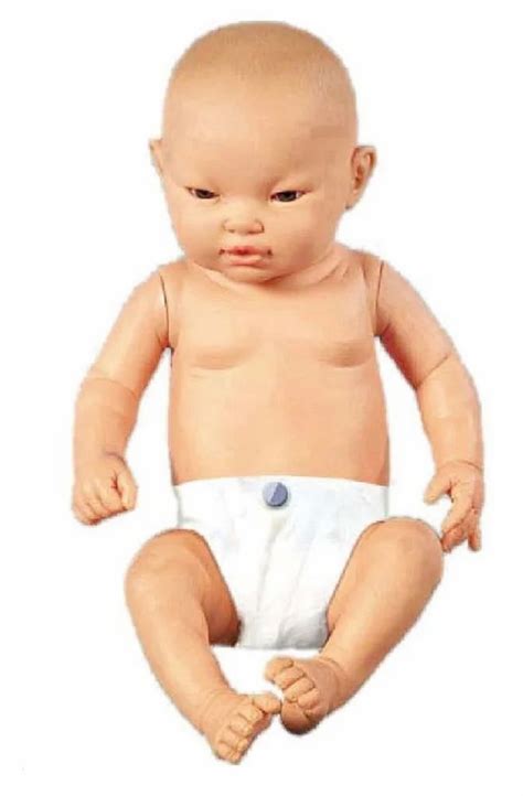 Manikin - Cpr Mannequin Adult Manufacturer from Bidhan Nagar