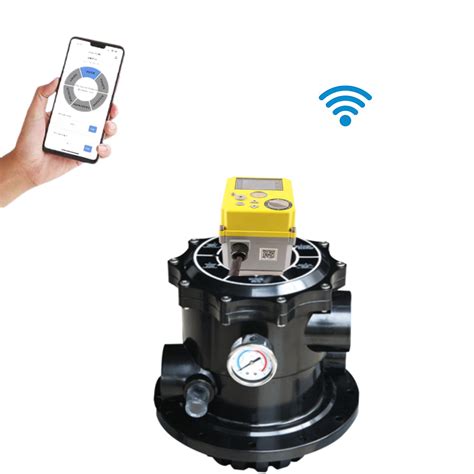 Image result for Pool Filter Valve Display