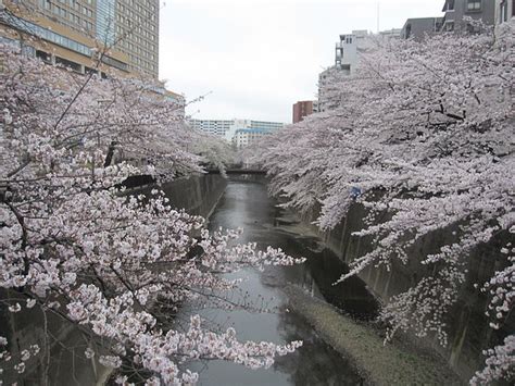 THE 30 BEST Places to Visit in Itabashi (2026) - Must-See Attractions