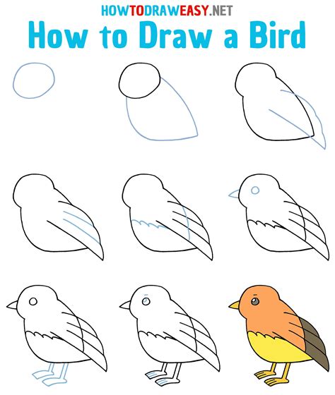 How to Draw a Bird Step by Step | Bird drawings, Simple bird drawing ...