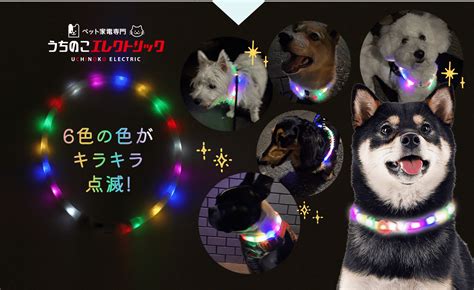 うちのこエレクトリック LED光る首輪