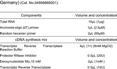 cDNA Synthesis Protocol 的图像结果