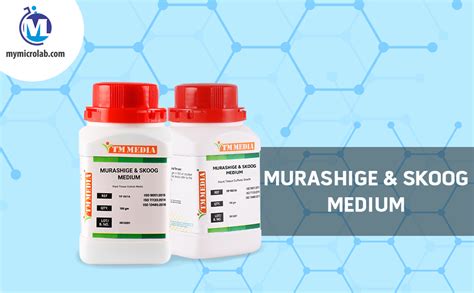 MURASHIGE & SKOOG MEDIUM (Pack of 4) : Amazon.in: Garden & Outdoors