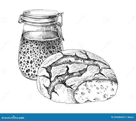 Sourdough Starter In Glass Jar Vector | CartoonDealer.com #299686525
