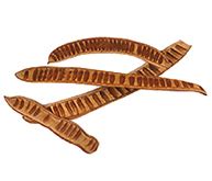 S B Enterprise >> Manufacturer Wholesaler Exporter :: Natural Items