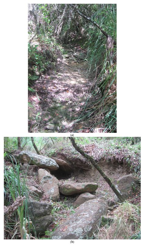 Hydraulic Chiefdoms in the Eastern Andean Highlands of Colombia