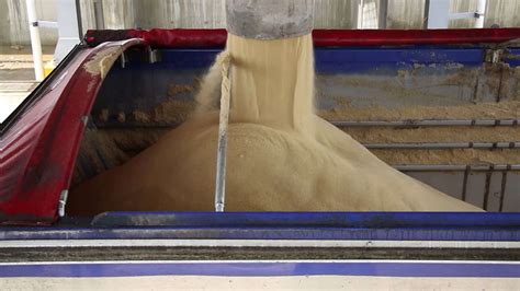 BSI/ASR Applies for Brown Sugar Price Increase – Love FM Belize News ...