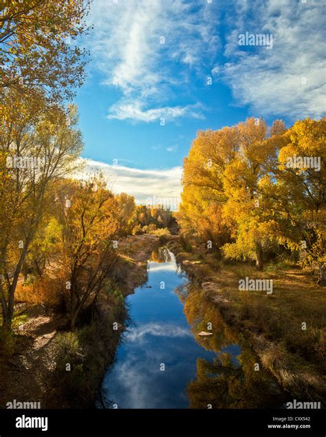The San Pedro Riparian National Conservation Area, Southern Arizona ...