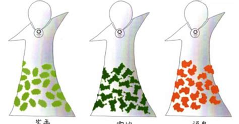 Image result for 5 Part Design