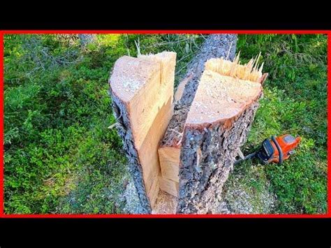 Image result for Using a Snatch Block for Felling a Tree
