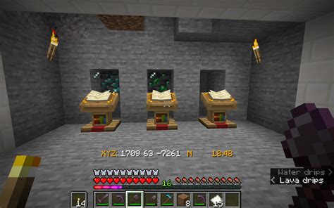 What should I put in my treasure room? I have to keep the deepslate emerald ore, but I don't ...