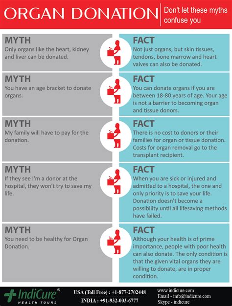 10 Key Facts And Myths About Organ Donation