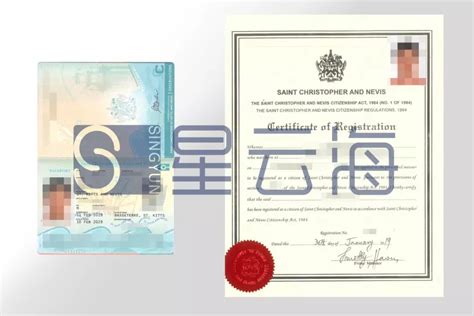 喜讯|恭喜Q先生喜获圣基茨·尼维斯护照和公民证书！|