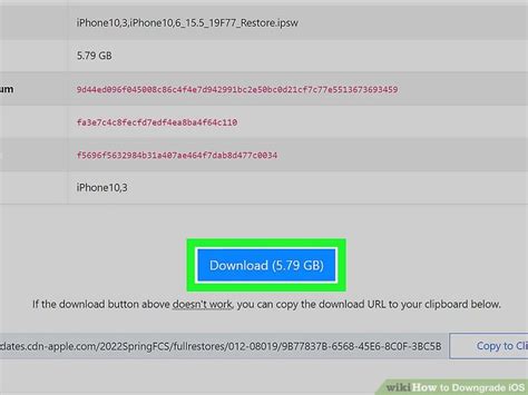 How to Downgrade iOS Version Using iTunes 的图像结果