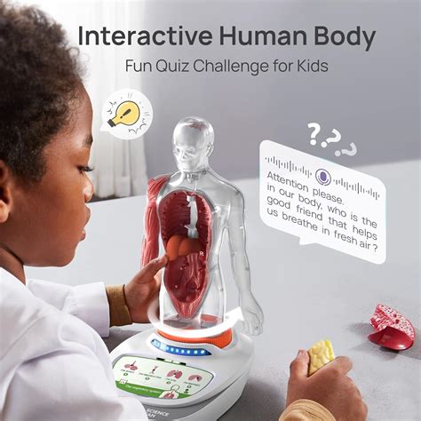 Science Can Human Body Model for Kids, Interactive Human Anatomy Talking Model - 11 Inch ...