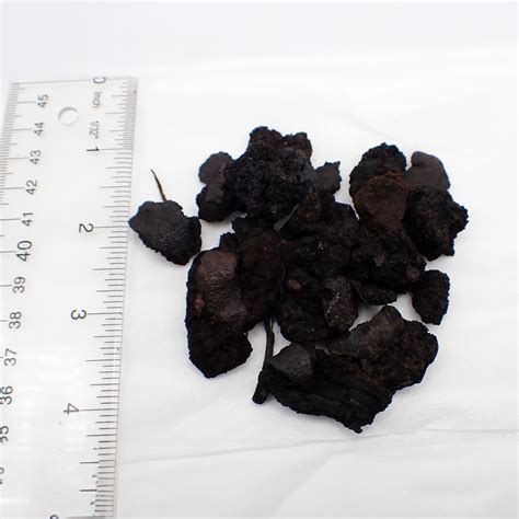 Black Walnut Hull Dried & Cut | Pacific Botanicals