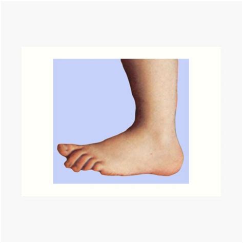 Image result for Python Foot
